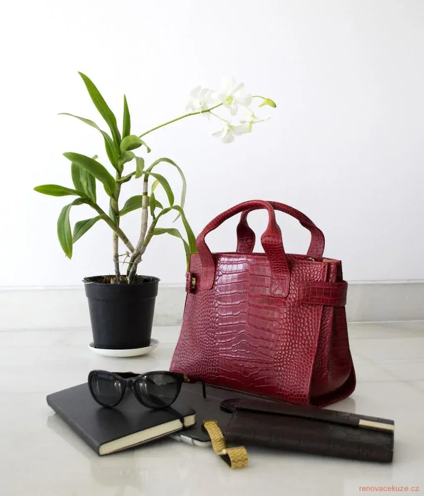 Rapide Leather Cream